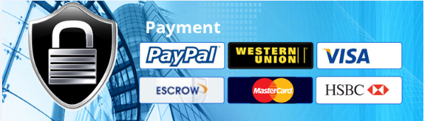 Ligne optique ports d'Optfocus FTTH du terminal 4 PON 8 4 ports 16ports MA5608t OLT 8